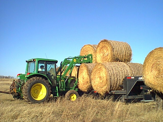 Marye loading hay